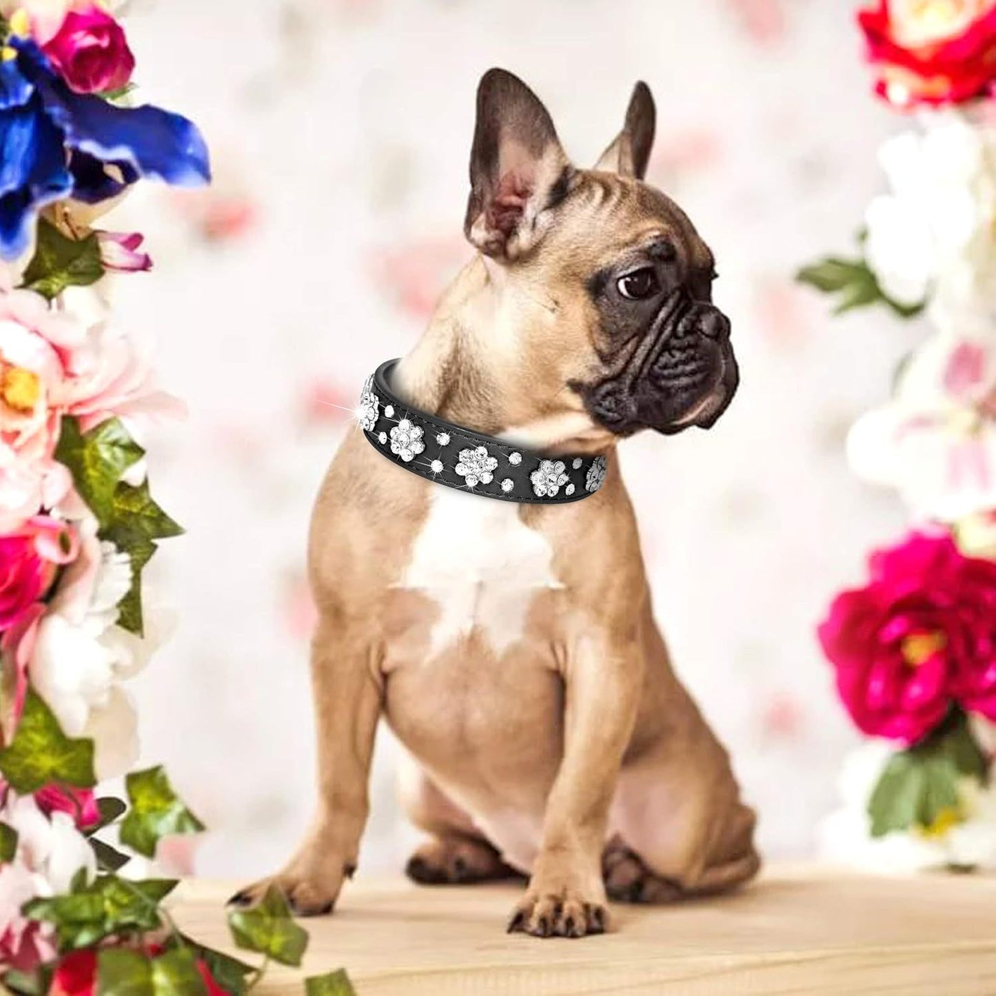 Rhinestone Flower Studded PU Leather Dog Collar | Adjustable Collar For All Dogs collar
