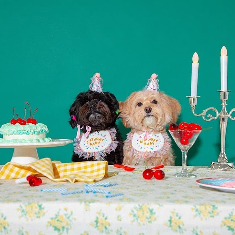 Dog Birthday Party Bib And Hat Set Japanese And Korean Style Triangle Scarf birthday