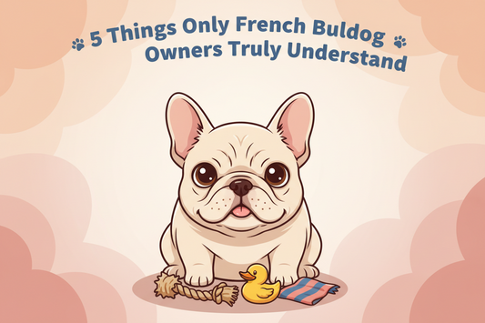5 Things Only French Bulldog Owners Truly Understand in 2026