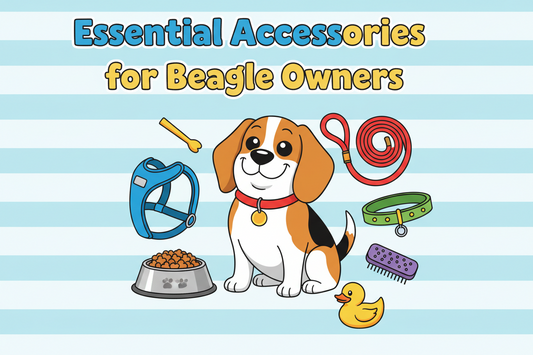 Essential Accessories for Beagle Owners: What You Actually Need in 2026