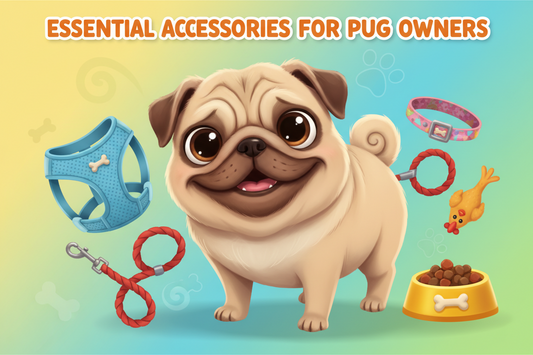 Essential Accessories for Pug Owners: What Every Pug Needs in 2026