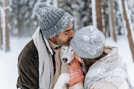 How to Get Your Dog Ready for Cold Weather: Guide for Cozy, Safe Winter Adventures