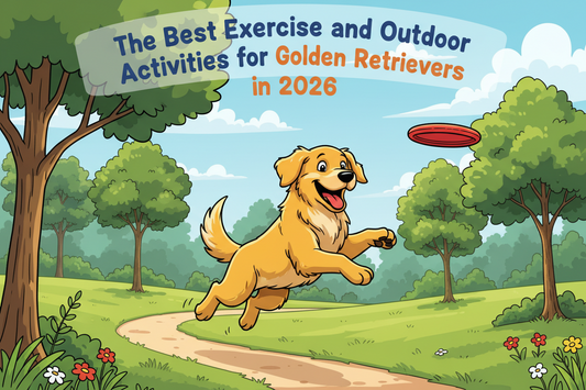 The Best Exercise and Outdoor Activities for Golden Retrievers in 2026