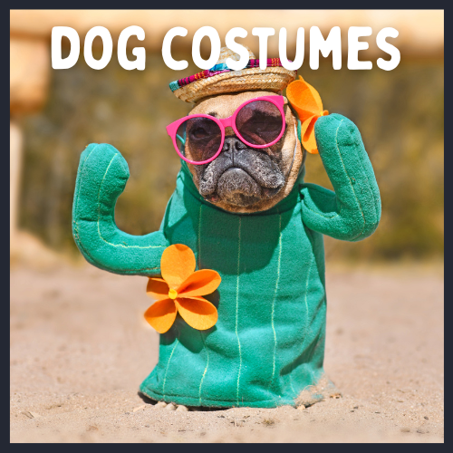 dog wearing cactus cotume