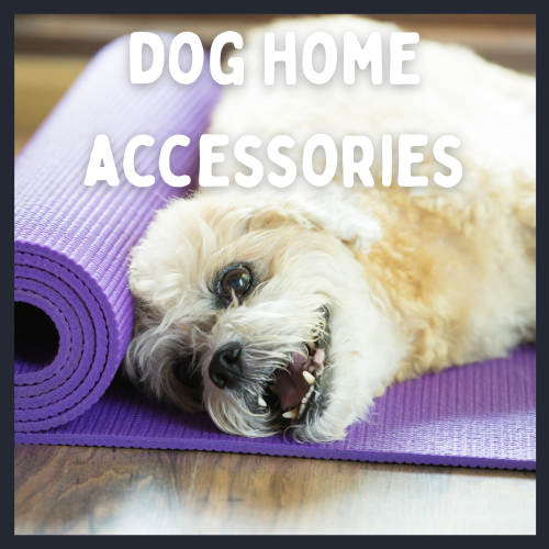 dog laying on a yoga mat for home accessories