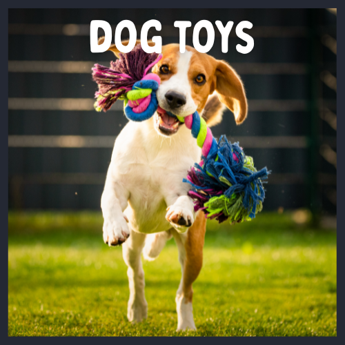 Dog toys, dog playing with a toy