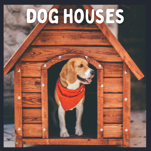 Dog in a dog house or kennel