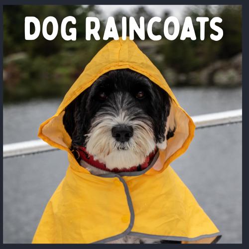 Dog Raincoats and Waterproof Vests