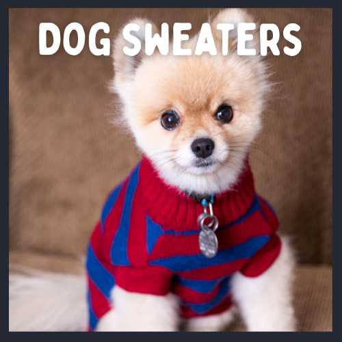 Dog Sweaters