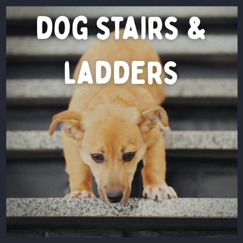 Dog Home Stairs & Ramps