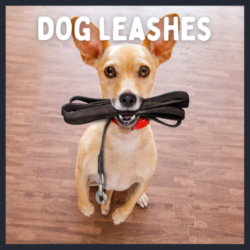 Dog Leashes