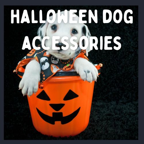 Halloween Dog Costumes And Accessories