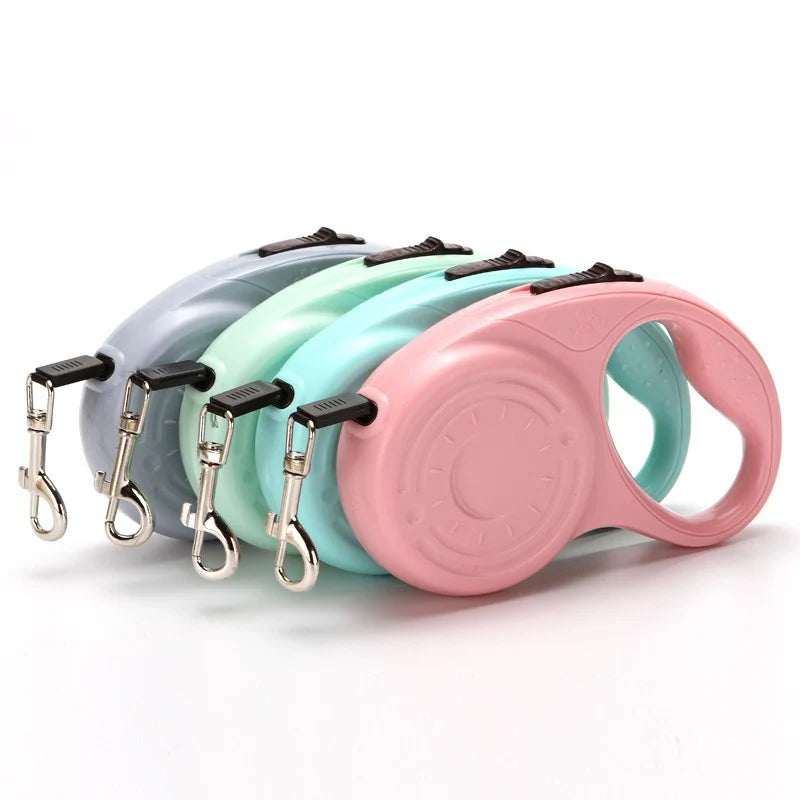 Best Dog Leashes for Hiking Training and Everyday Walks