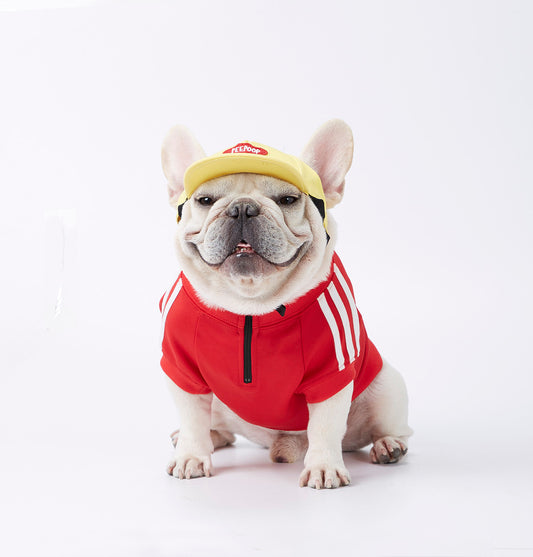 Three Stripe Dog Sweater: European Style Quarter Zip Dog Pullover Red / L Accessories