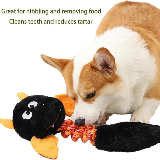 Squeaky And Crinkle Plush Dog Toy with Rope Knot | Interactive Chew Toy for Dogs toys