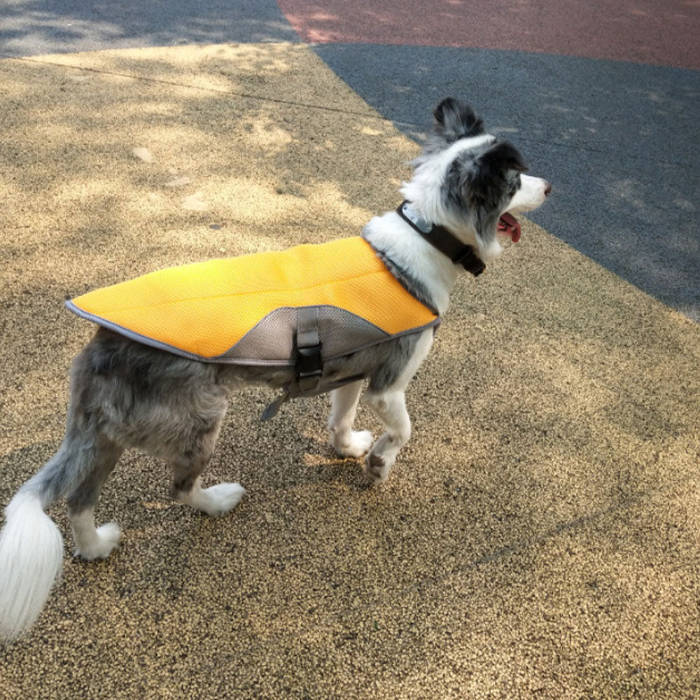 Breathable Summer Dog Cooling Vest | Heat-Resistant Dog Jacket - coats