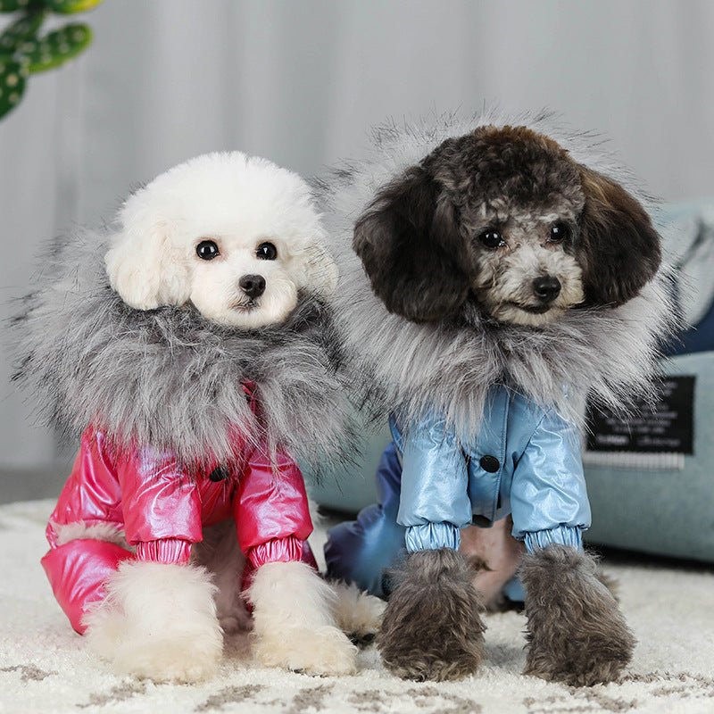 Windproof And Padded Winter Dog Coat | Warm Dog Jacket Coats & Dog Vests