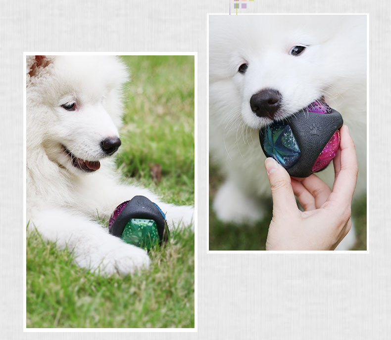 Durable Rubber Squeaky Dog Toy Ball Glow in the Dark Dog Toy Black Accessories