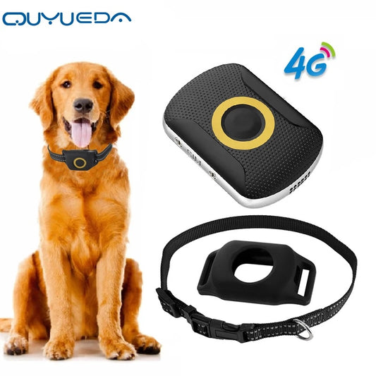 Real-time GPS And 4G Dog Tracker with Collar | Waterproof Dog Collar Safety Device - Black - collar