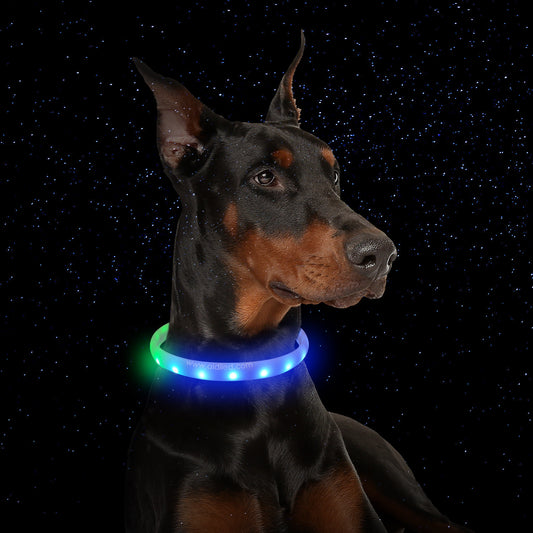 Rechargeable LED Dog Collar | Anti-Lost Safety Dog Collar - White / L / USB - Dog Collars & Leashes