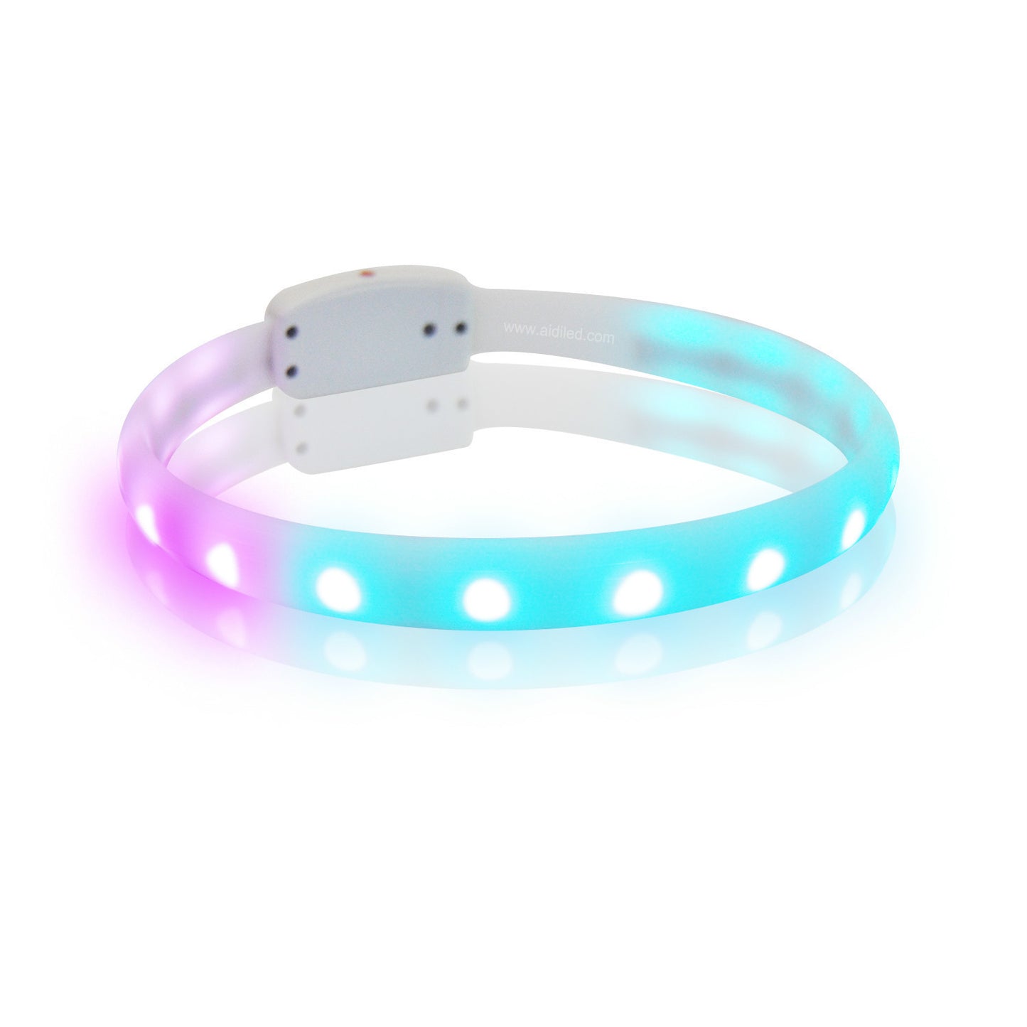 Rechargeable LED Dog Collar | Anti-Lost Safety Dog Collar - White / L / USB - Dog Collars & Leashes