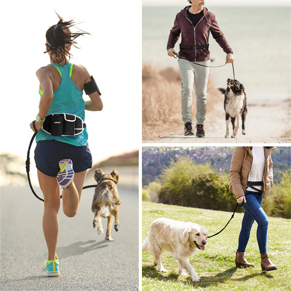 Hands Free Dog Training Leash And Waist Bag Set | Outdoor Pouch for Training With Dogs leash