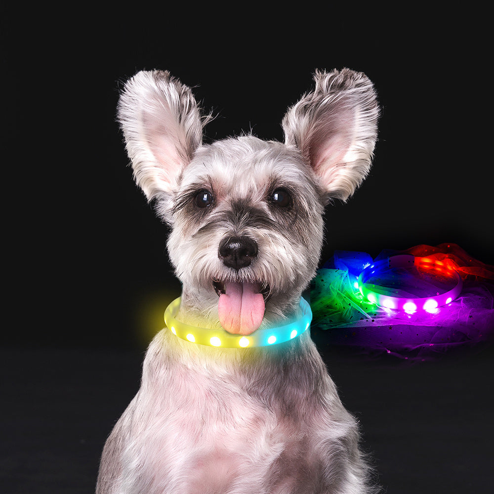 Rechargeable LED Dog Collar | Anti-Lost Safety Dog Collar - White / L / USB - Dog Collars & Leashes