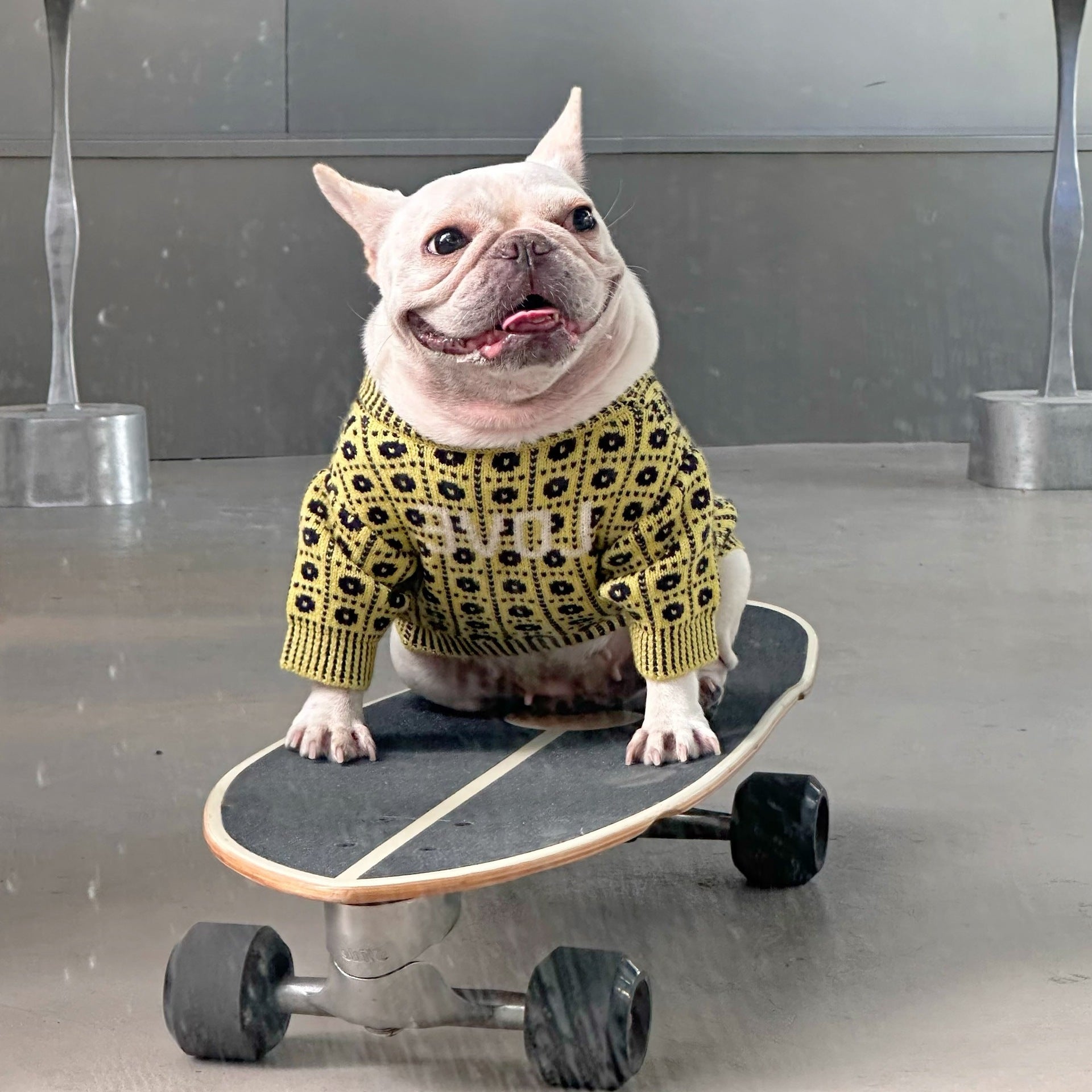 Dog Winter Sweater: Cozy Wool Dog Pullover with Matching Hat Option Accessories