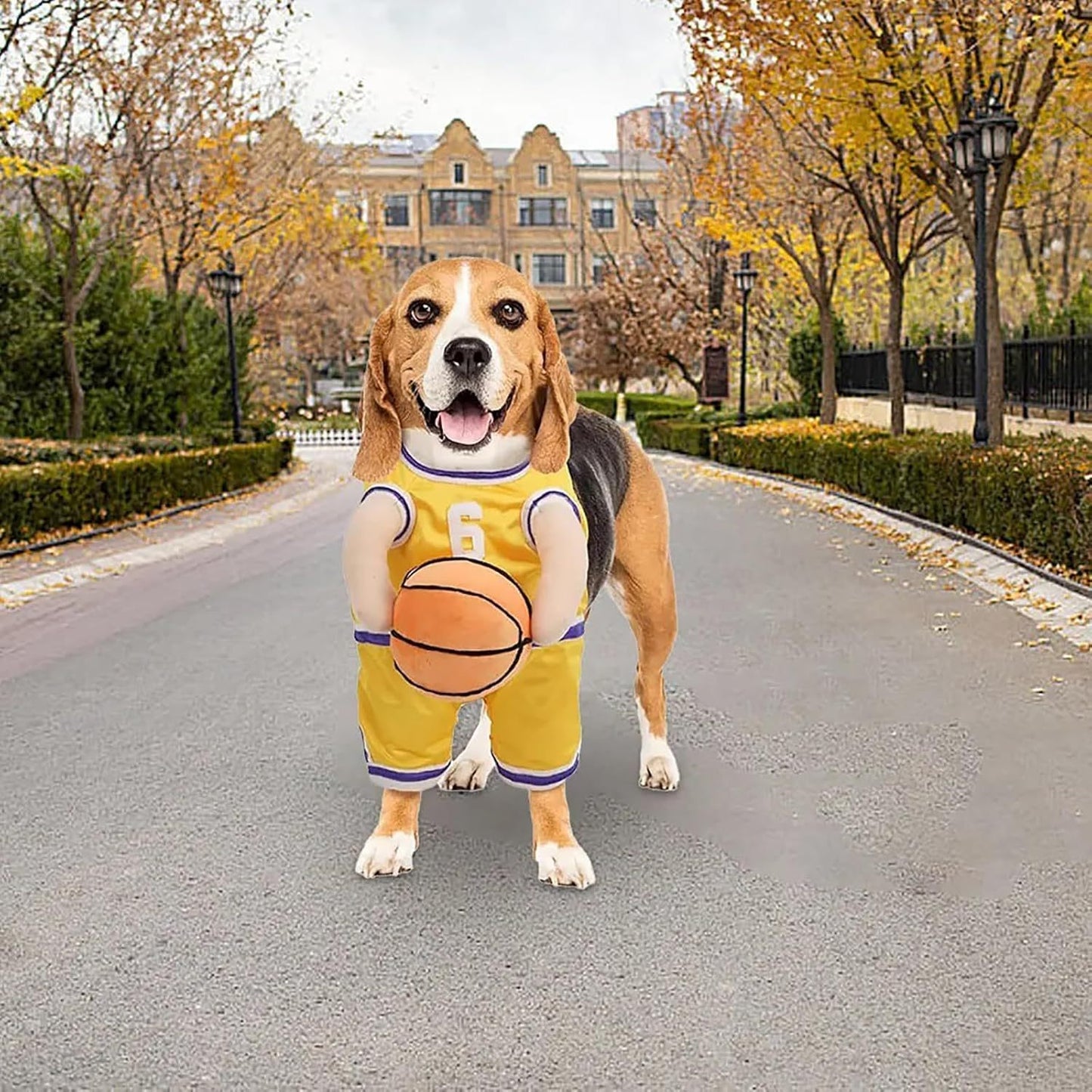 Funny Basketball Player Dog Costume | Halloween And Party Outfit for Dogs beds