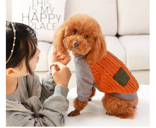 Two Toned Knitted Dog Sweater | Warm Cotton Dog Pullover Accessories