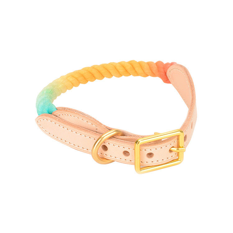 Adjustable Gradient Leather And Cotton Dog Collar | Comfortable Collar for Dogs Kumquat Lemon / L Accessories