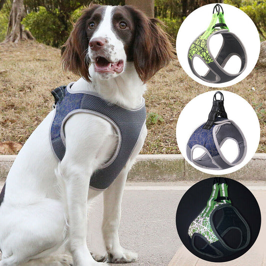 Adjustable Dog Harness And Leash Set | Breathable Dog Vest - harness