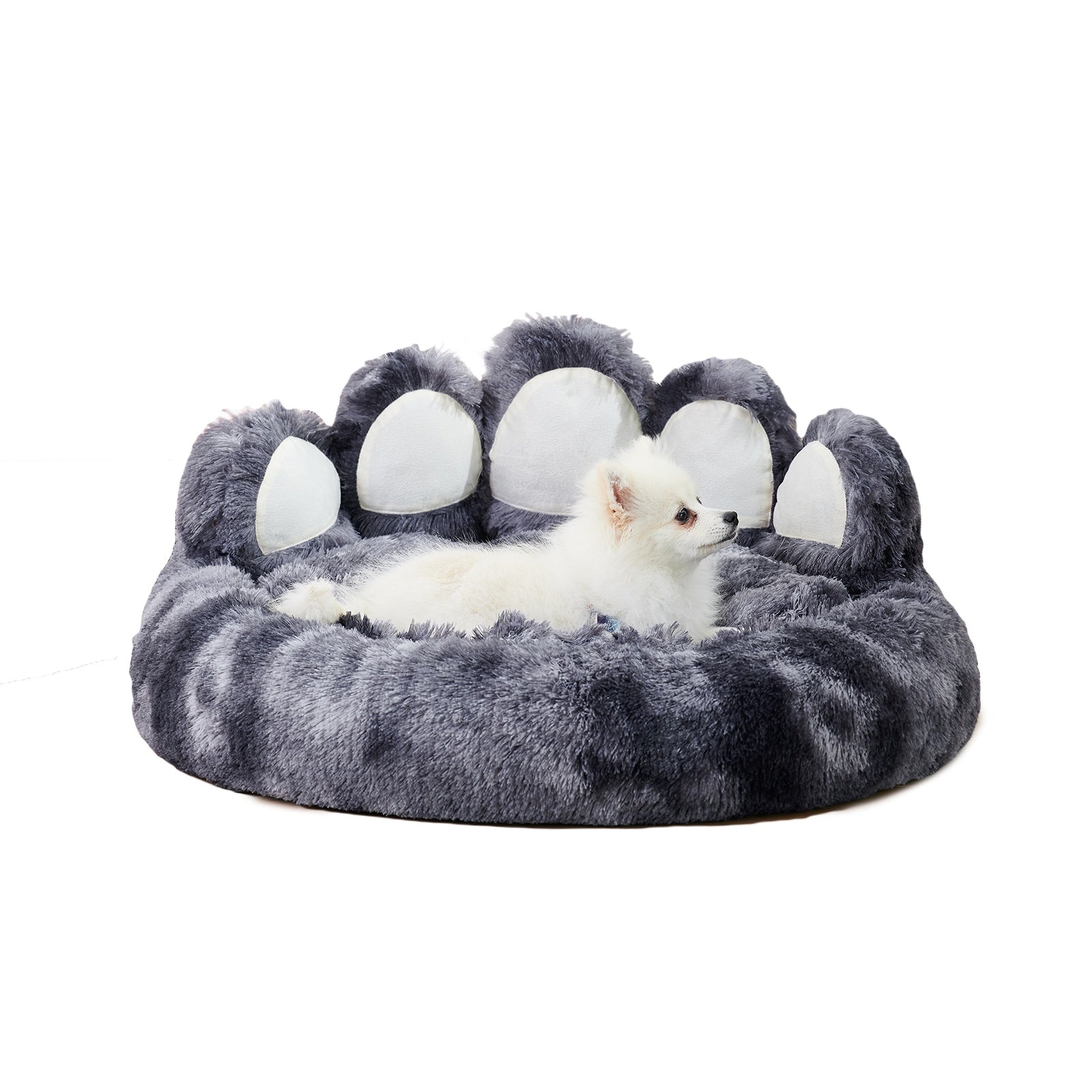 Cute Bear Paw Plush Dog Bed | Cozy And Calming Mat for Small/Medium Dogs beds
