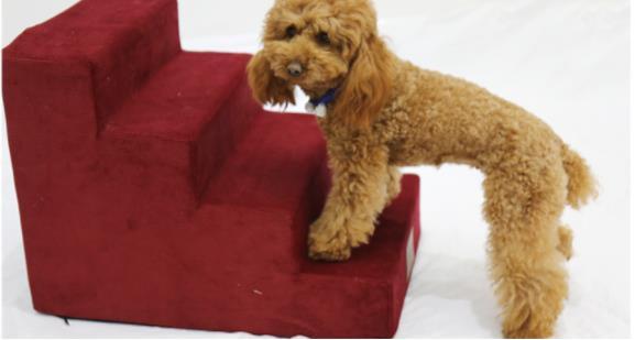 Stuffed Dog Stairs And Dog Ramp For Support | 3 Step Ladder for Small Dogs home