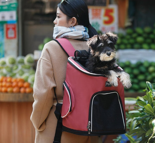 Dog Backpack Carrier For Travelling | Hands-Free Travel Bag for Small Size Dogs - Blue - Dog Travel Essential