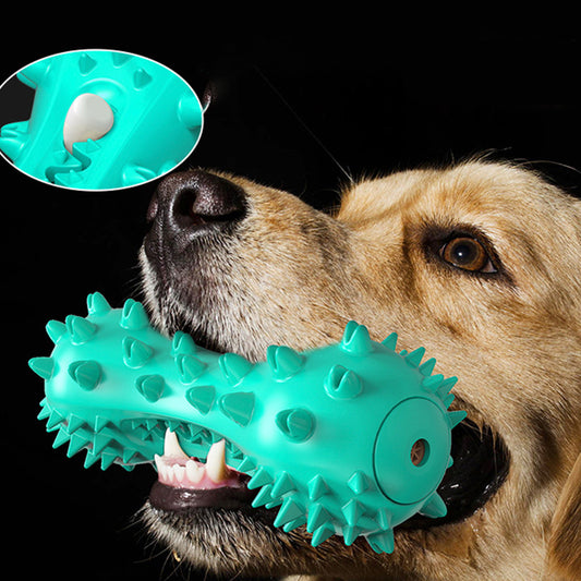 Durable TPR Squeaky Dog Toothbrush Chew Toy Accessories