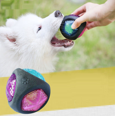Durable Rubber Squeaky Dog Toy Ball Glow in the Dark Dog Toy Black Accessories