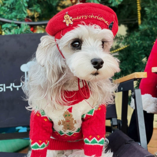 Christmas Style Wool Dog Sweater Red and Green Dog Apparel beds