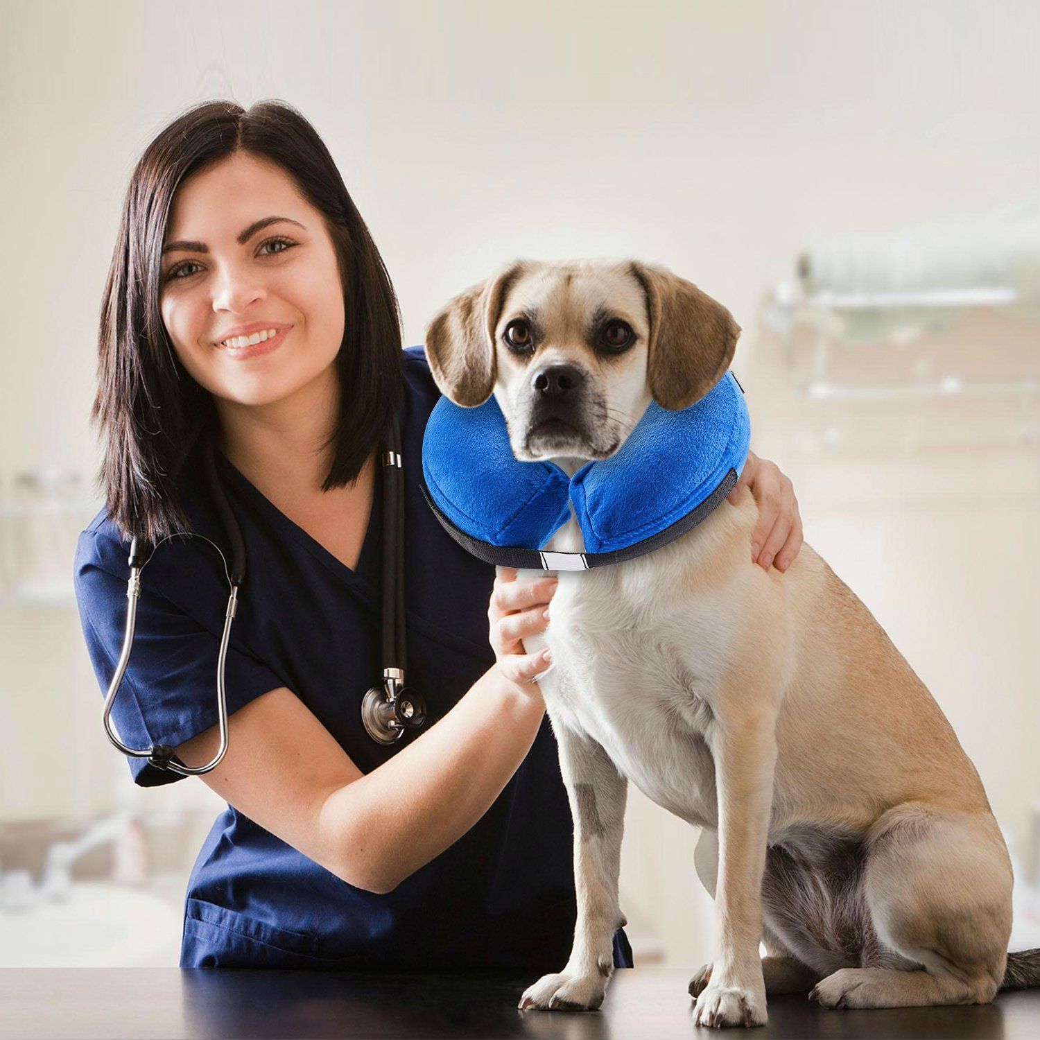 Soft Inflatable Dog Collar | Protective E Collar Recovery For Dogs Dog Collars & Leashes