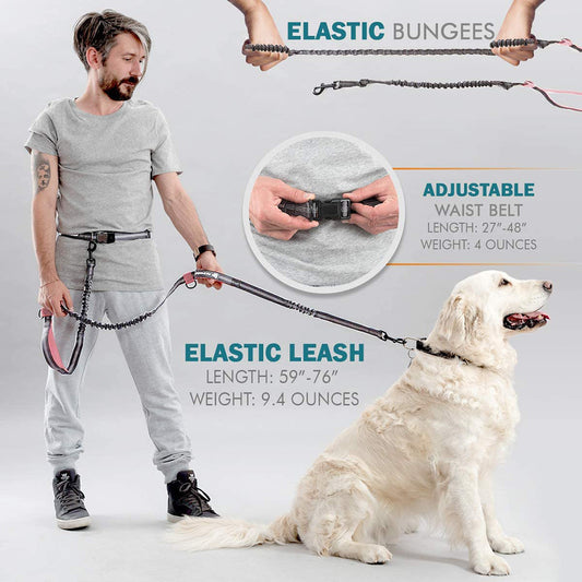 Hands-Free Bungee Dog Leash | Elastic Dog Running Leash - leash