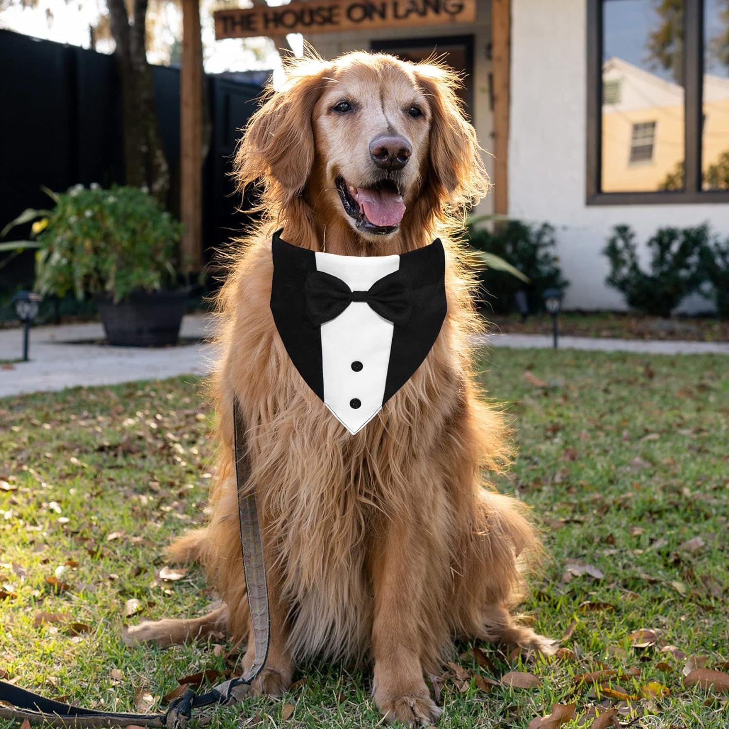 Dog Tuxedo And Bow Tie Formal Costume | Adjustable Wedding And Party Outfit costumes