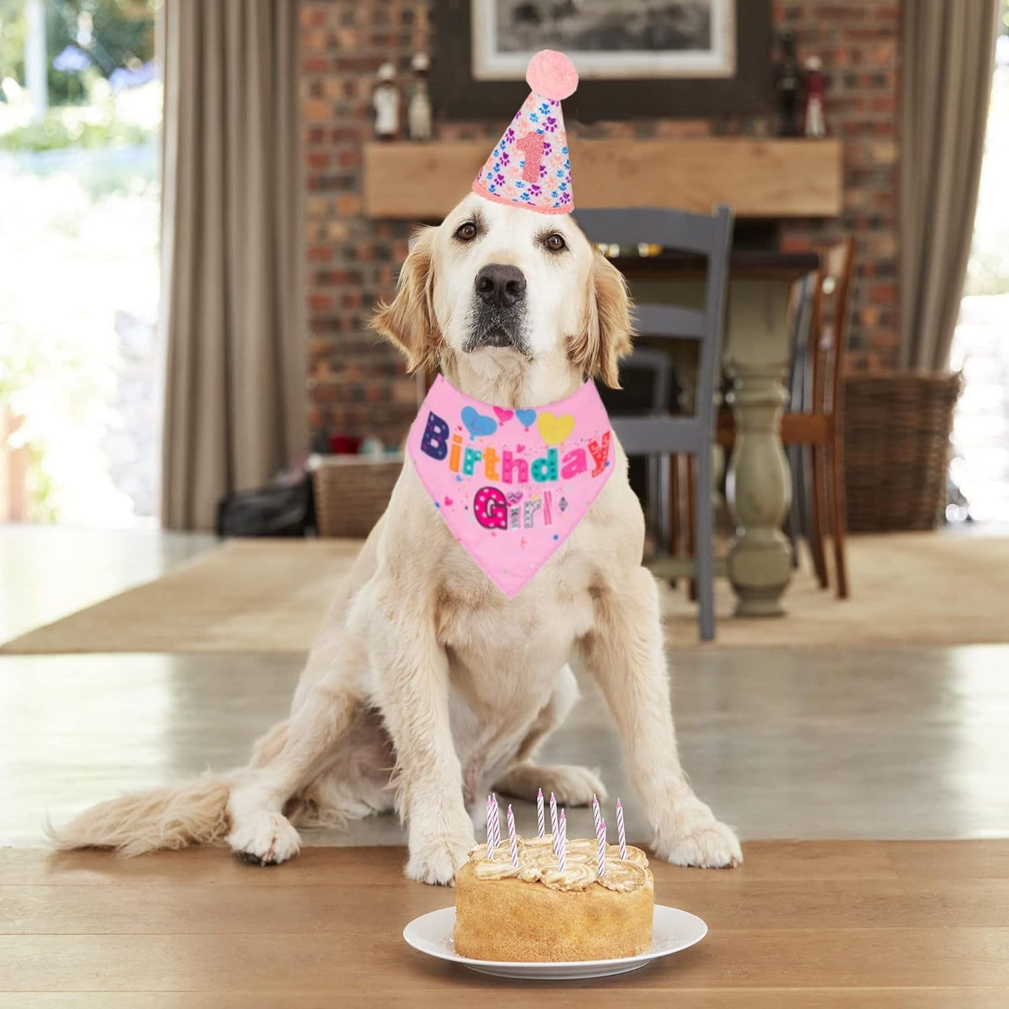 Deluxe Dog Birthday Party Set: Customizable Dog Hat Bandana And Bow Tie for Dog’s Birthdays birthday