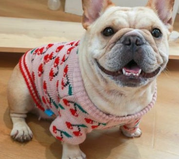 Casual Christmas Dog Sweater Different Styles Available Cherry / L beds