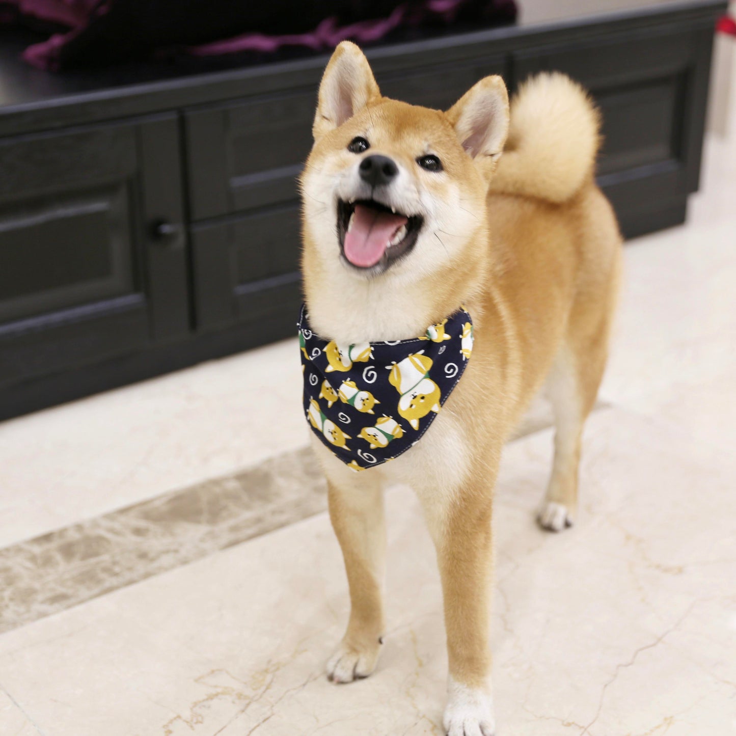 Japanese Style Dog Saliva Towel: Triangle Scarf Collar And Bandana Accessories