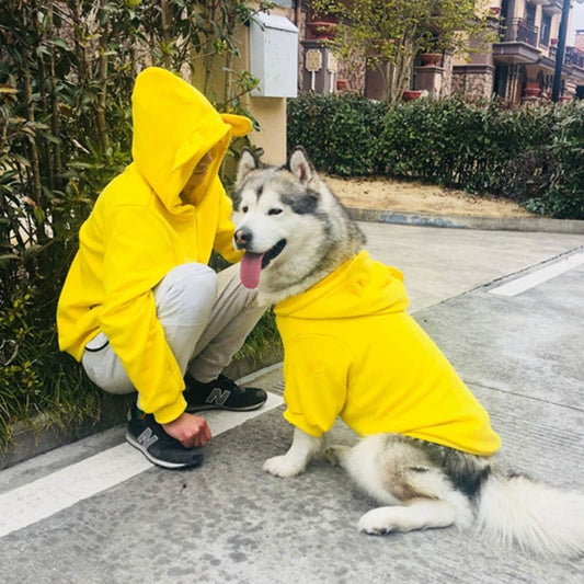Yellow Dog Sweater For Winter: Dog Pullover for All Seasons Accessories