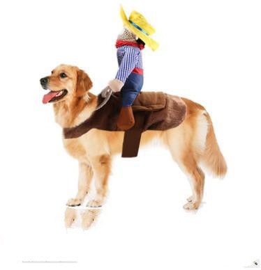 Funny Horse Riding Dog Costume | Novelty Dog Outfit for Parties Christmas And Halloweend beds