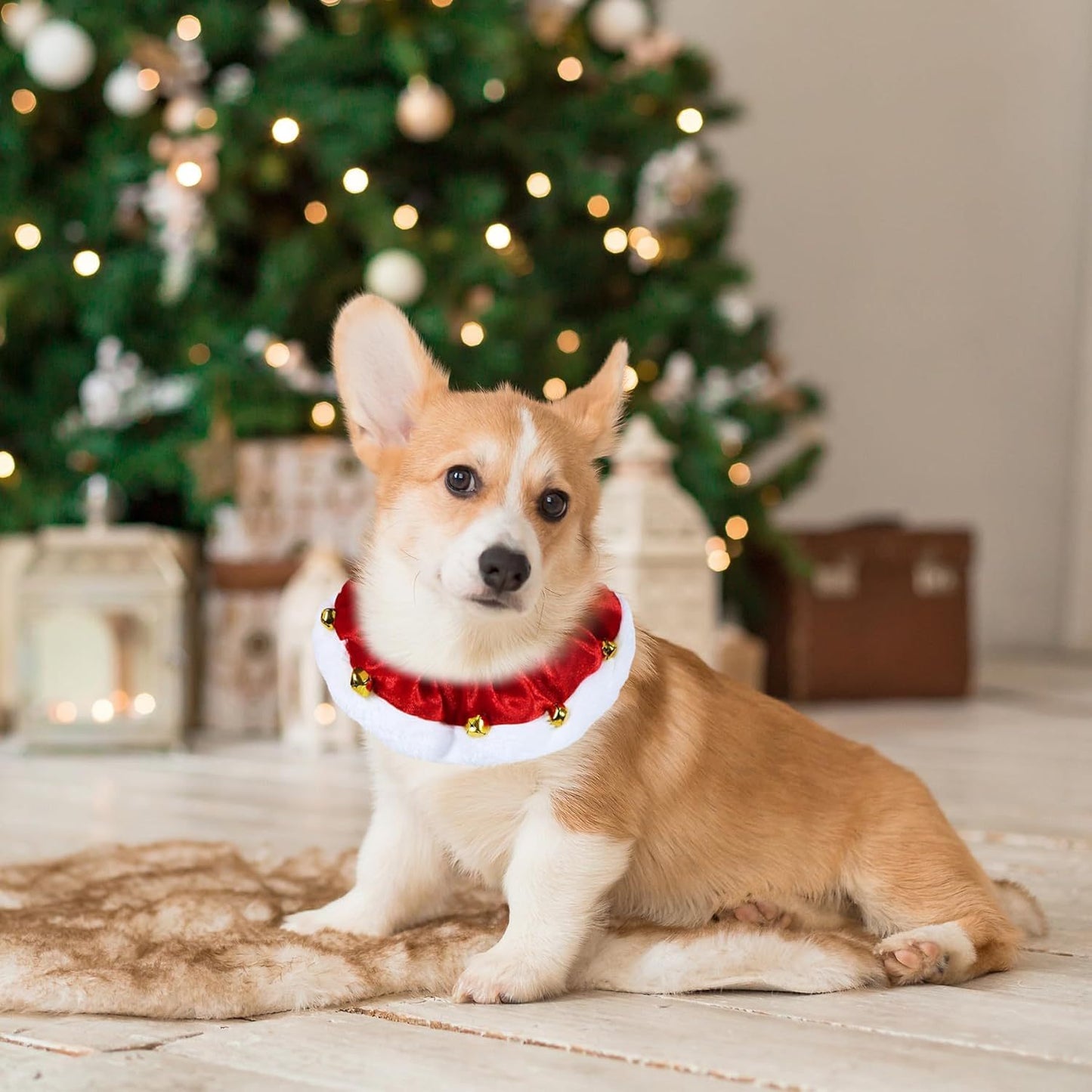 Christmas Dog Collar with Bells & Ornaments Holiday Dog Neckwear christmas