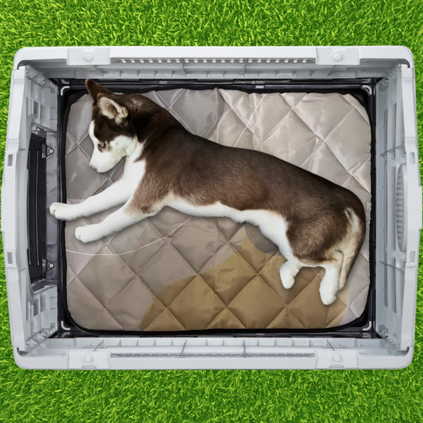 33 Inch Pointed House Type Cat And Dog House Blue white beds