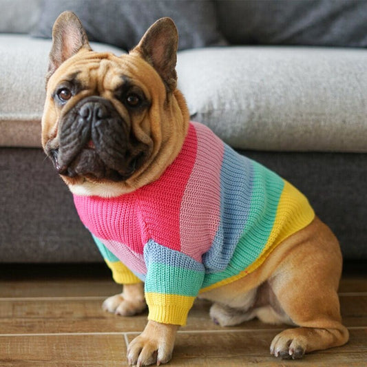 Rainbow Dog Sweater: Soft Wool Knit Dog Jumper for All Seasons Accessories