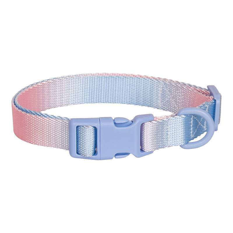 Adjustable Gradient Nylon Dog Collar | Stylish Collar For All Dogs Plastic Pink Blue / L collar